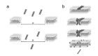 Fig. (9)