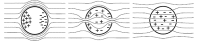 Fig. (1)