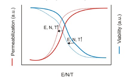 Fig. (6)