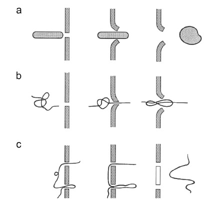 Fig. (10)