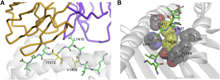 Figure 5