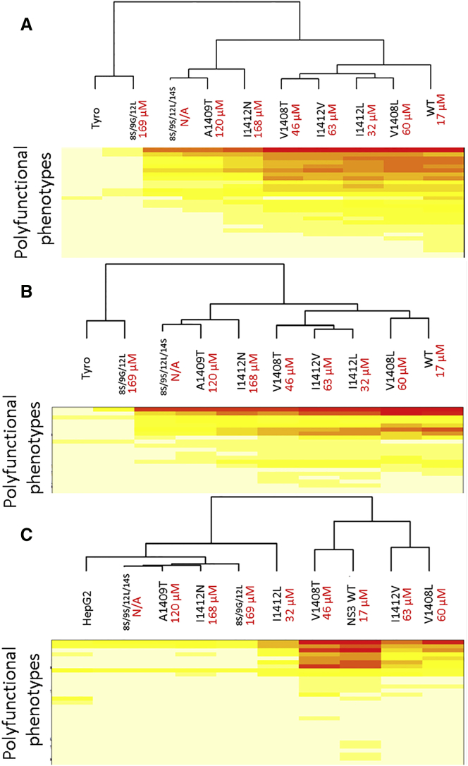 Figure 4