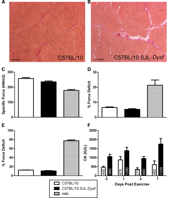 Figure 2.