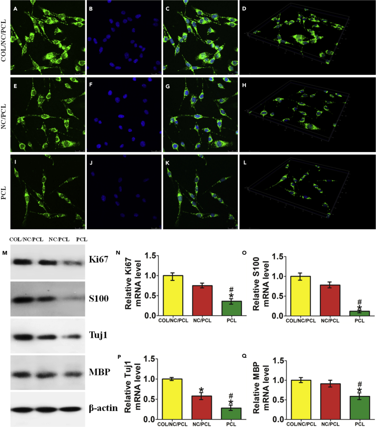 Figure 5