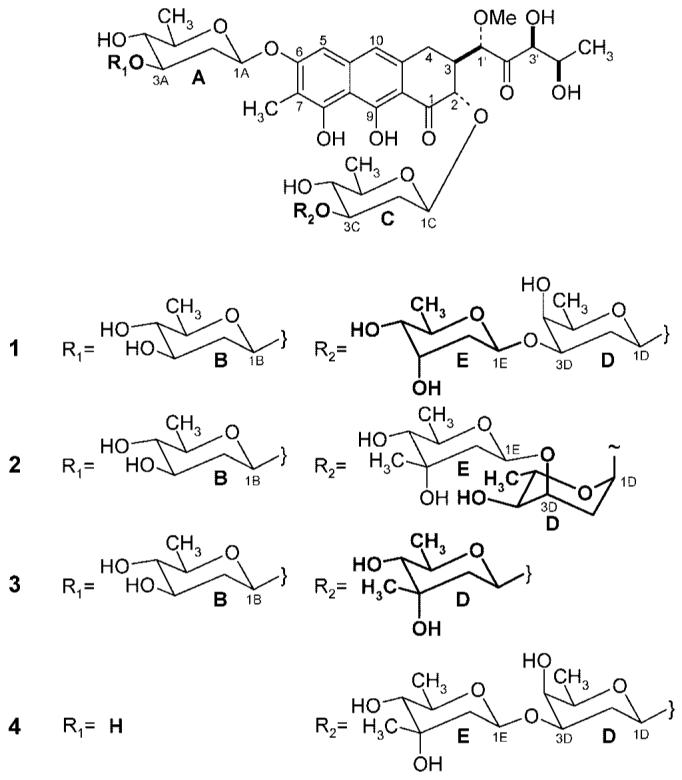 Scheme 2