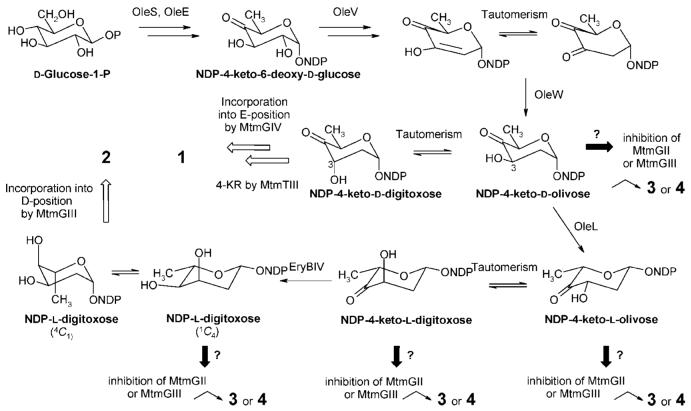 Scheme 3