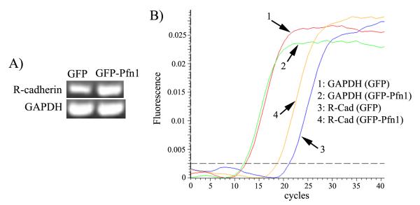 Fig 5