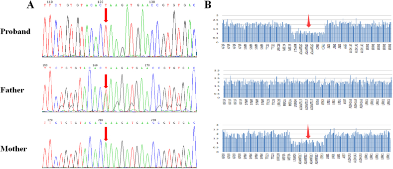 Fig. 3