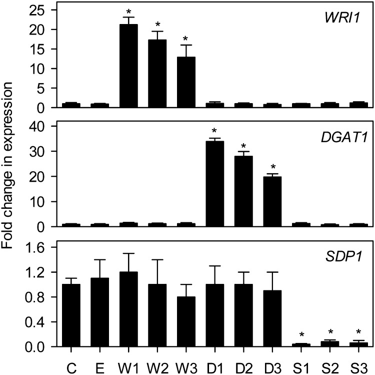 Figure 3.