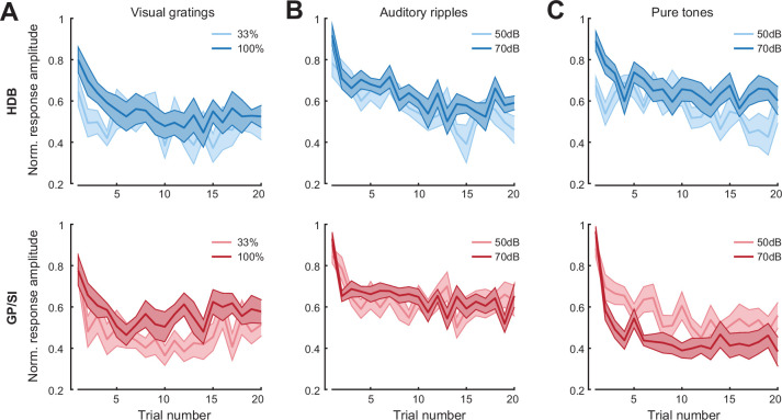 Figure 2—figure supplement 2.