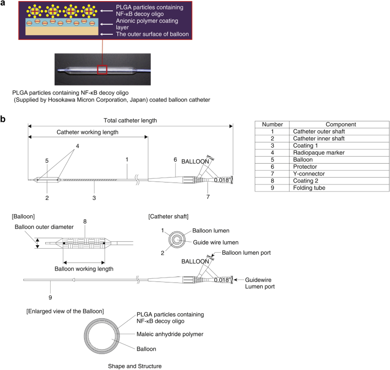 Figure 1