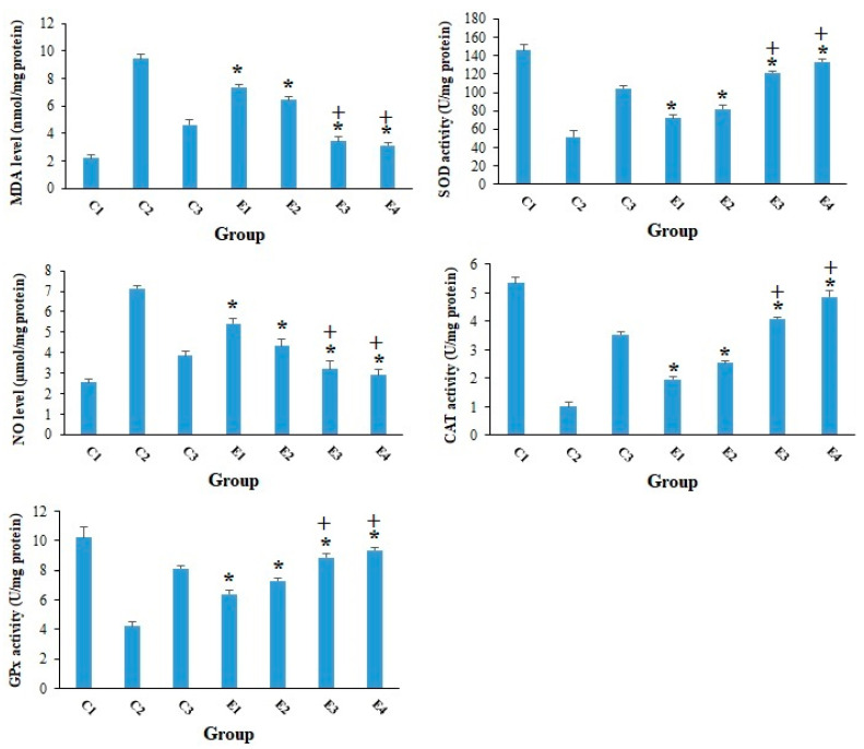 Figure 5