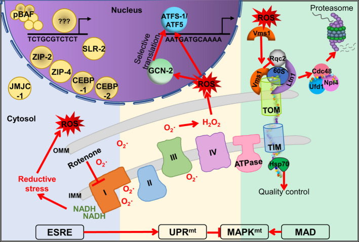 FIGURE 3