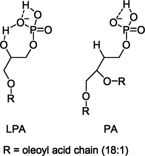 Fig. 12.