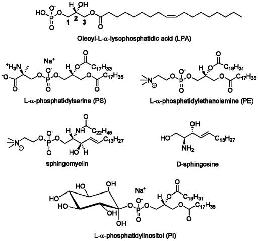 Fig. 13.