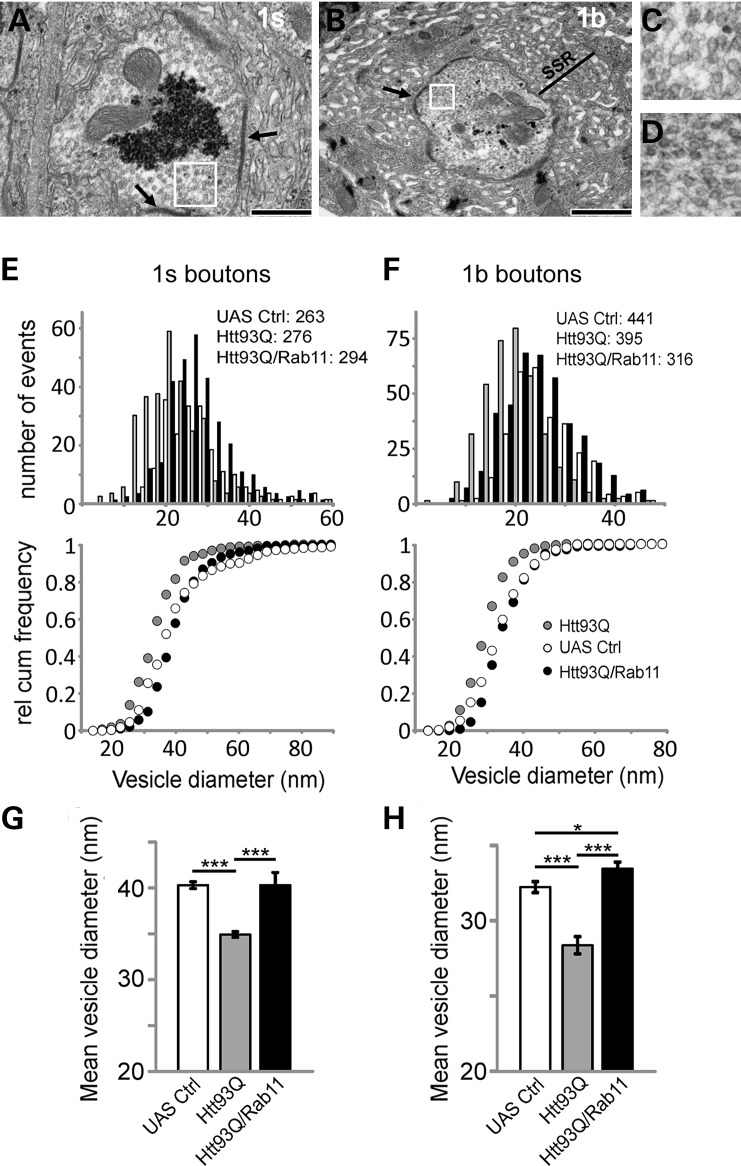 Figure 2.