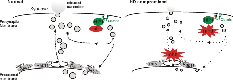 Figure 5.