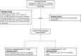 Supplementary Figure 1