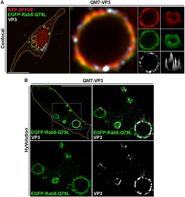 FIG 3