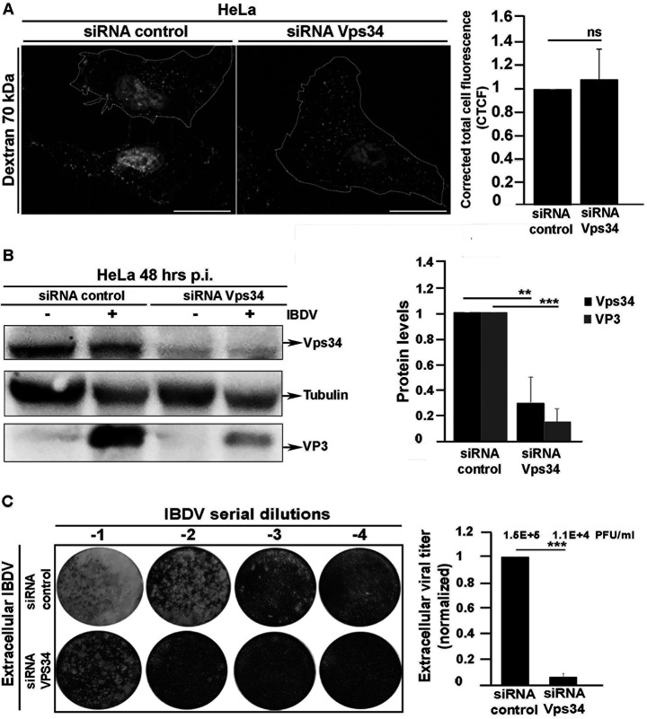 FIG 10