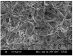 graphic file with name polymers-13-02120-i009.jpg