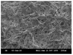 graphic file with name polymers-13-02120-i008.jpg