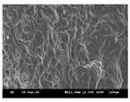 graphic file with name polymers-13-02120-i001.jpg