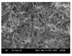 graphic file with name polymers-13-02120-i007.jpg