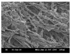 graphic file with name polymers-13-02120-i006.jpg