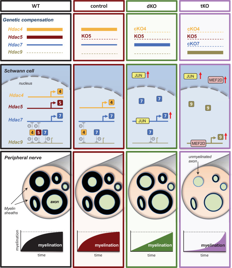 Figure 10.