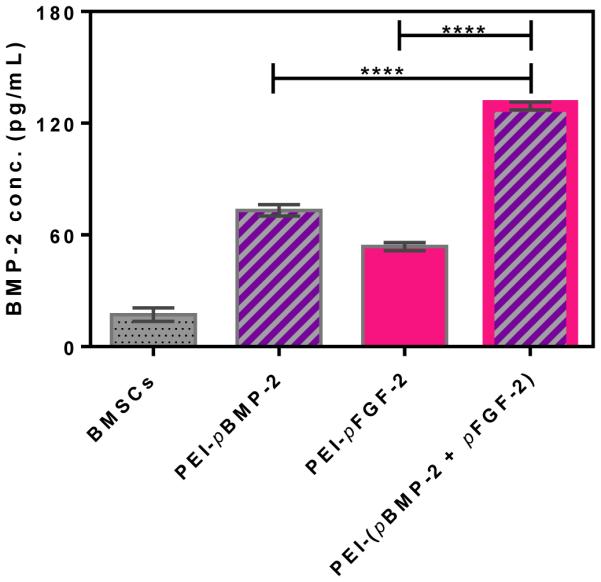 Fig.3