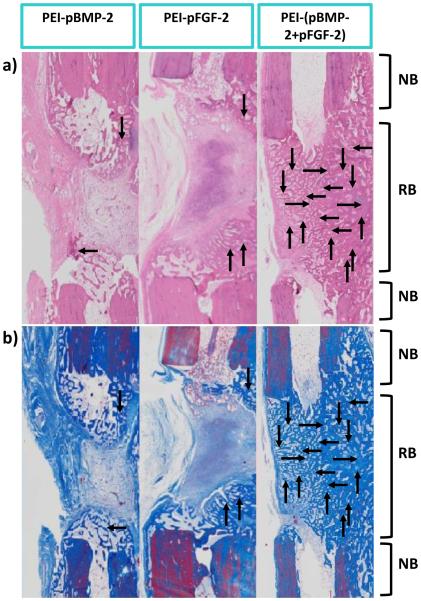 Fig.6