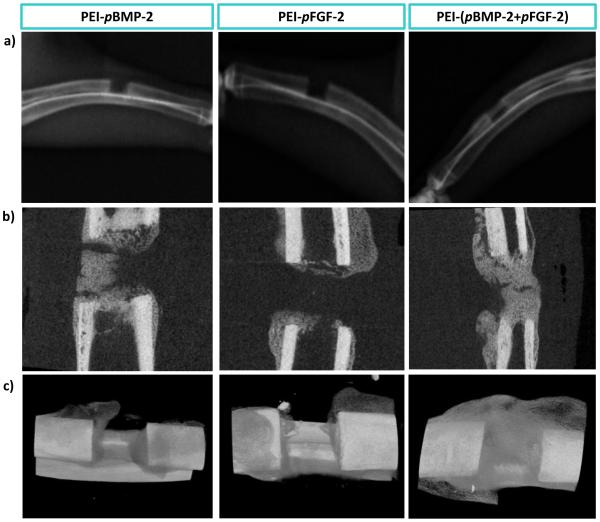 Fig.4