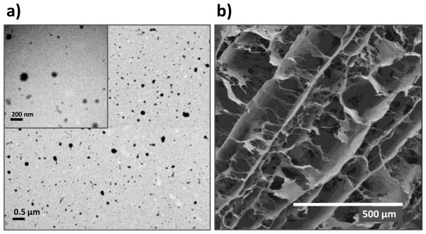 Fig.1