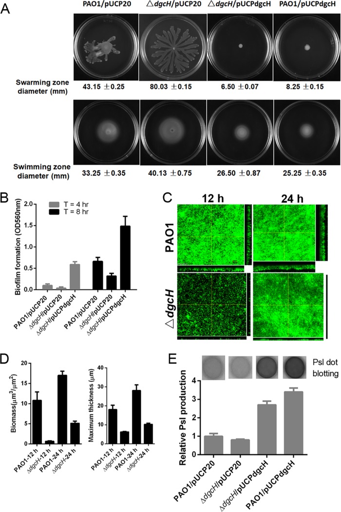 FIG 4