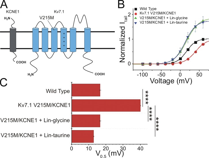 Figure 10.