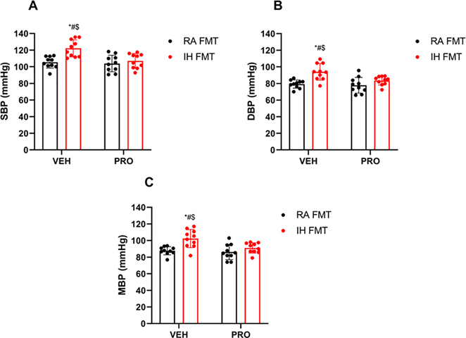 Fig. 2: