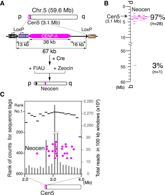 Figure 4