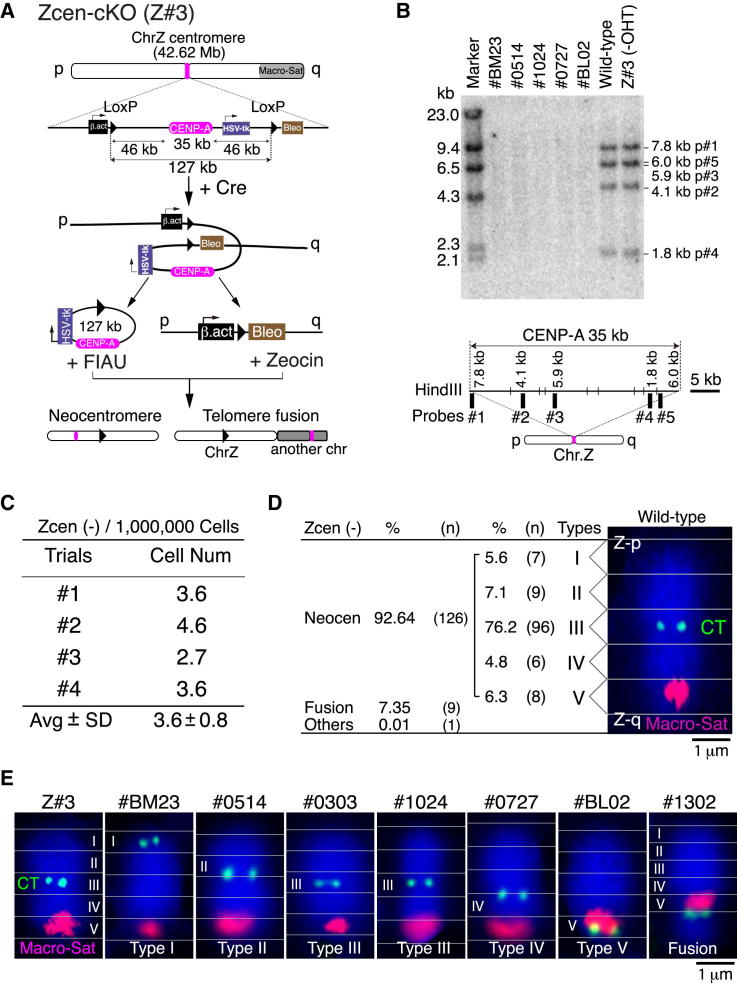 Figure 1