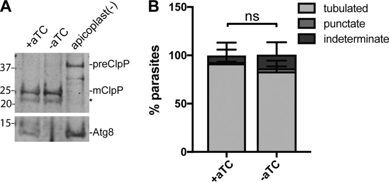 FIG 3 