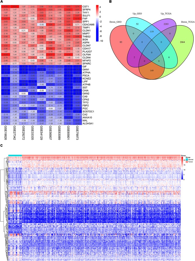 FIGURE 1