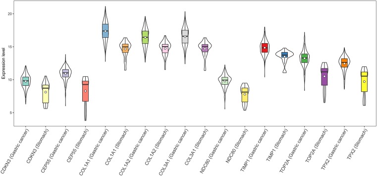 FIGURE 4