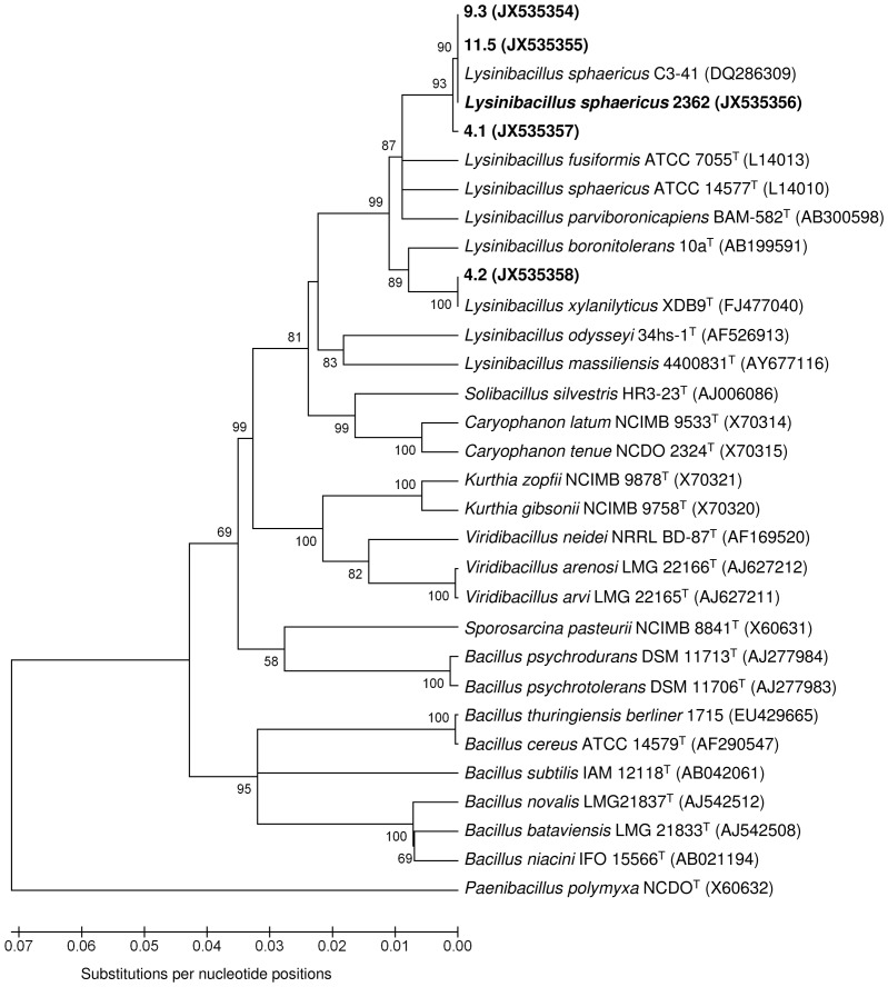 Figure 4