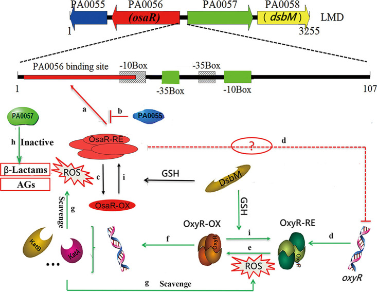 FIG 10