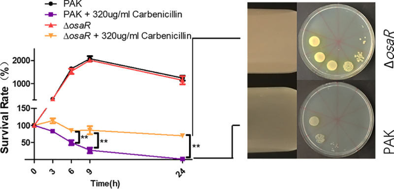 FIG 1