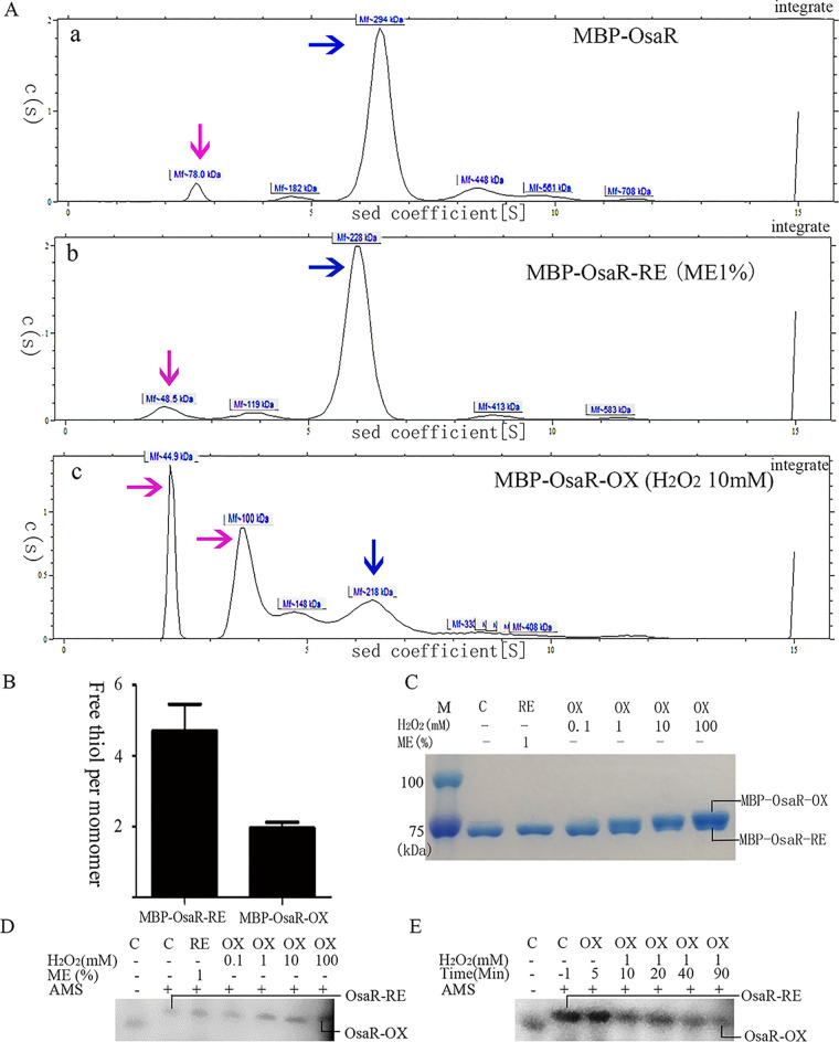 FIG 6