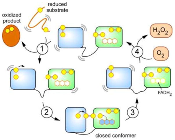 Figure 22