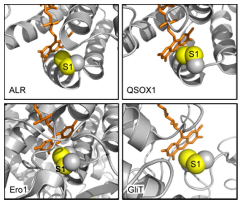 Figure 18