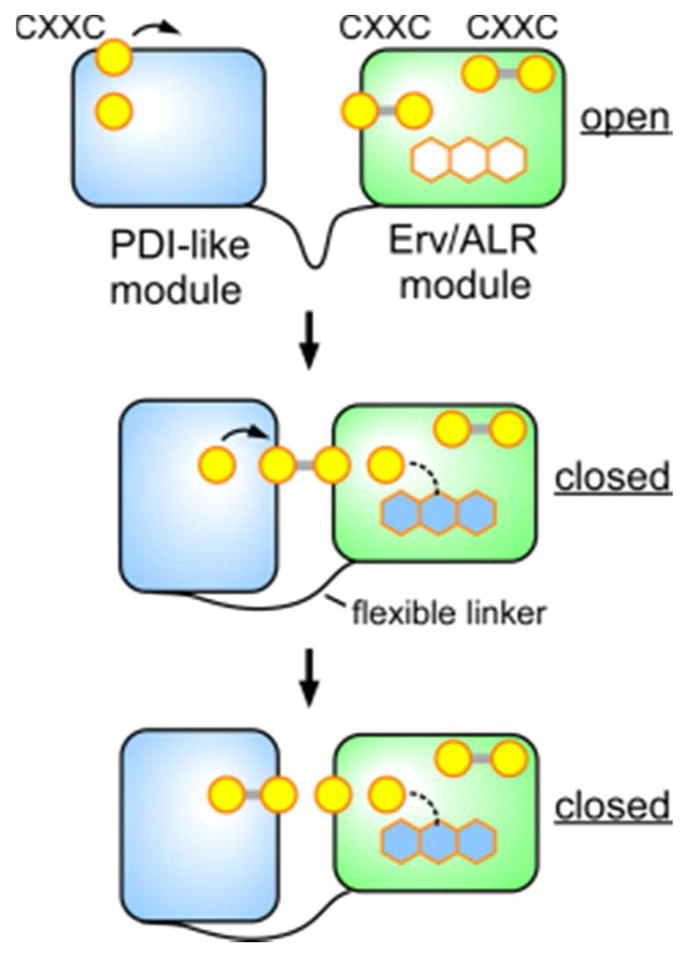 Figure 21