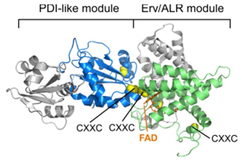 Figure 23